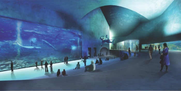 Lee más sobre el artículo Acuario The Blue Planet
