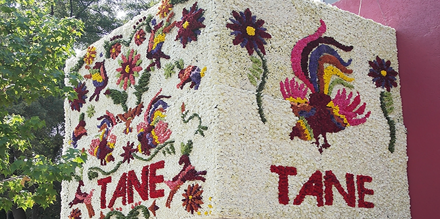 Lee más sobre el artículo Festival Flores y Jardines CDMX llega a Polanco