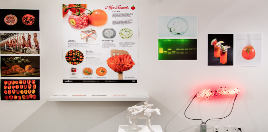 Lee más sobre el artículo Biodesign Challenge | WantedDesign NY