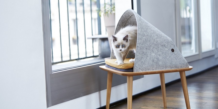 Lee más sobre el artículo Hábitat gatuno | Meyou Paris