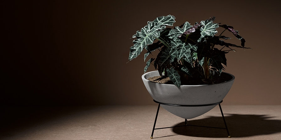 Lee más sobre el artículo Rumbo al Salone de Mobile Milano 2018 | Matter made