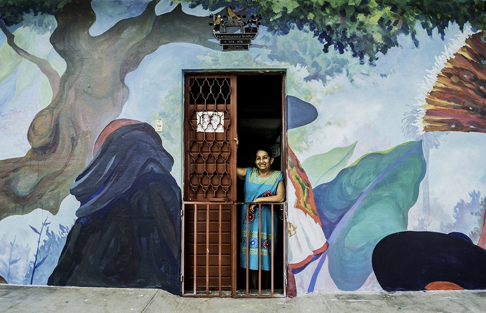 Lee más sobre el artículo Ciudad Mural Tuxtla | Colectivo Tomate y PPG Comex