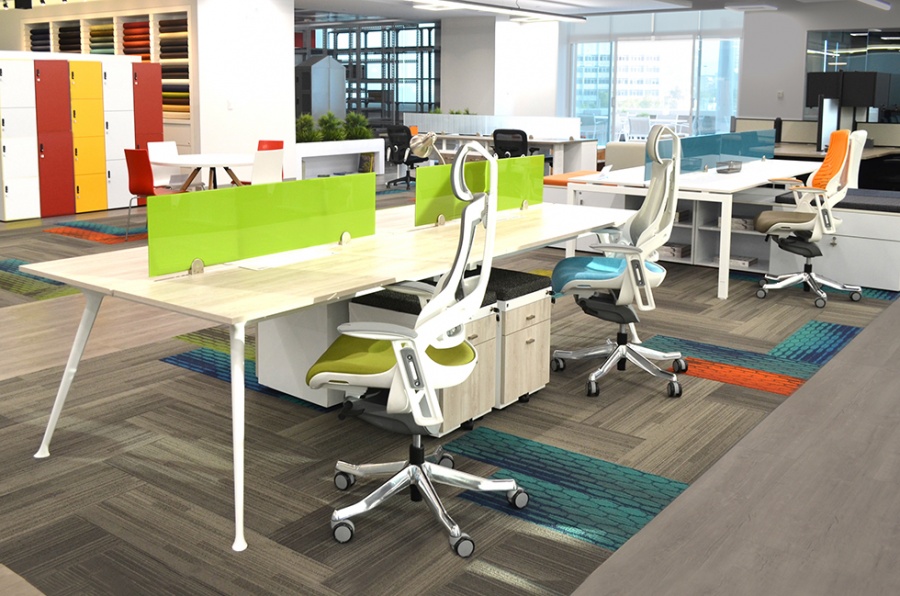 Lee más sobre el artículo PM Steele presenta un nuevo Showroom