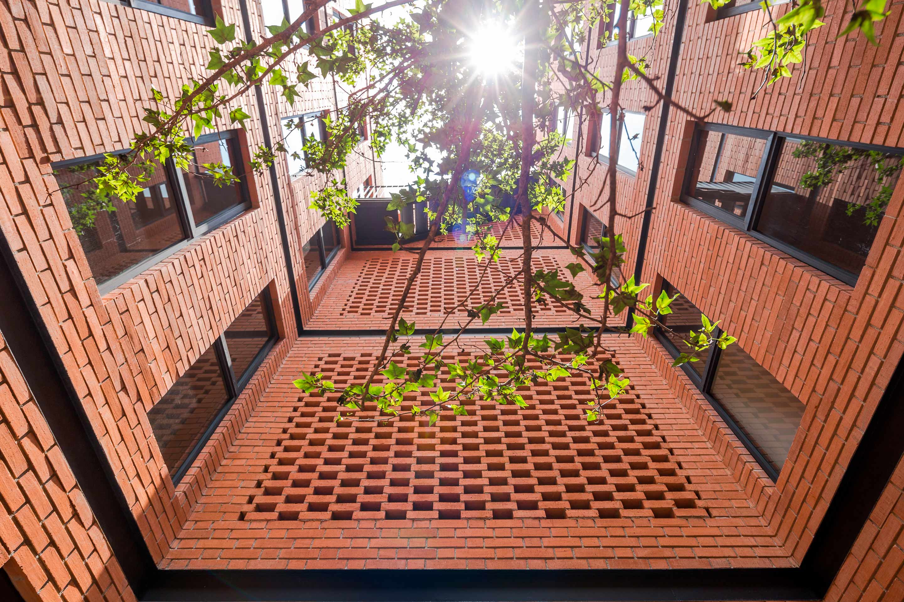 Lee más sobre el artículo Emiliano Zapata 167 | HGR Arquitectos