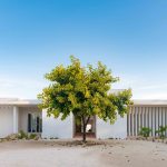 Glocal 60 | Residencial: Hacienda Chicxulub