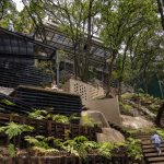 Glocal 62 | Residencial: Un edificio entre el bosque y la ciudad | AARU Santa Fe por Arquitectura Erre