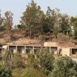 Premio Noldi Schreck 2020 | Arquitectura Residencial: Casa Eucaliptos, Casa Cosmos y Casa Cova
