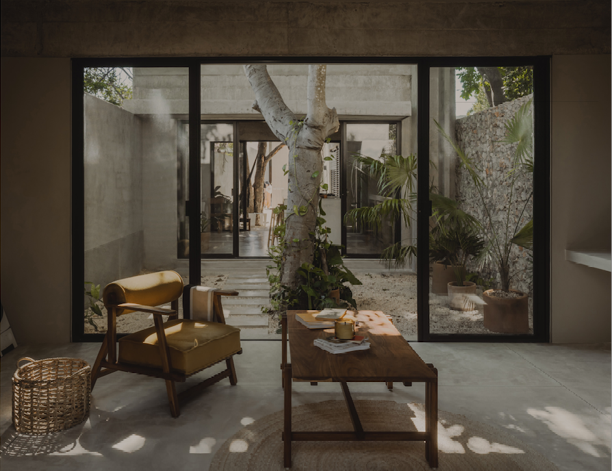 Lee más sobre el artículo El Tirón | FMT Estudio | Mérida, Yucatán, México