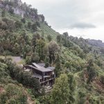Casa MM: diseño entre árboles y pendiente extrema