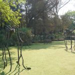 Glocal 88 | Sustentabilidad como sistema en arquitectura