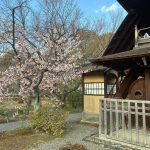 Kyōto YouMe Triennale 2026: una nueva plataforma global para el arte, el diseño y la artesanía